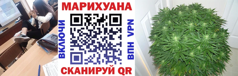 ГАШ Новошахтинск