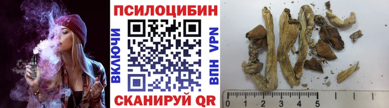 Галлюциногенные грибы ЛСД Новошахтинск