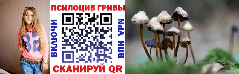 shop официальный сайт  Новошахтинск  Галлюциногенные грибы Cubensis 