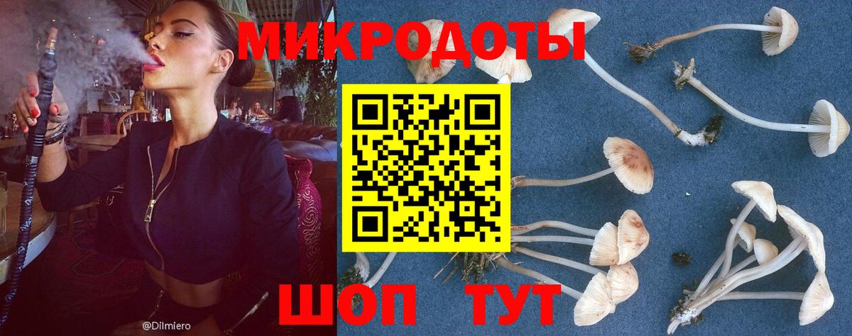 Псилоцибиновые грибы MAGIC MUSHROOMS  Вход с VPN  Новошахтинск  Псилоцибиновые грибы GOLDEN TEACHER 